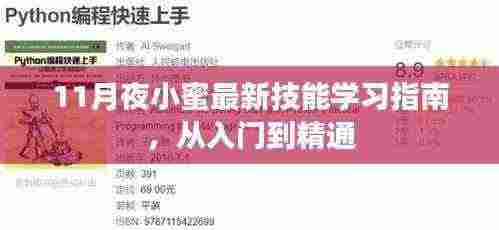 11月夜小蜜最新技能学习指南，从入门到精通