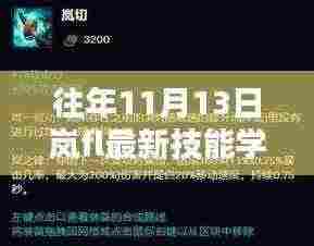 往年11月13日岚fl最新技能学习全攻略，初学者与进阶者通用指南