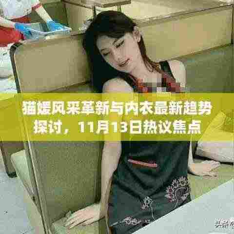 猫媛风采革新与内衣最新趋势探讨，11月13日热议焦点
