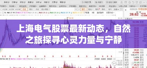 上海电气股票最新动态,自然之旅探寻心灵力量与宁静