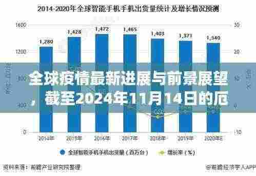 全球疫情最新进展与前景展望，截至2024年11月14日的厄疫情最新消息