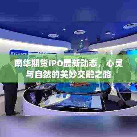 南华期货IPO最新动态，心灵与自然的美妙交融之路