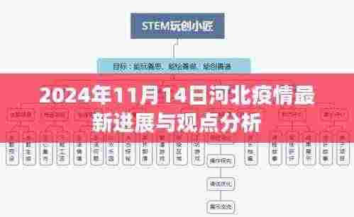 2024年11月14日河北疫情最新进展与观点分析