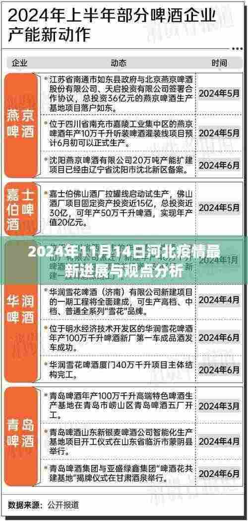 2024年11月14日河北疫情最新进展与观点分析