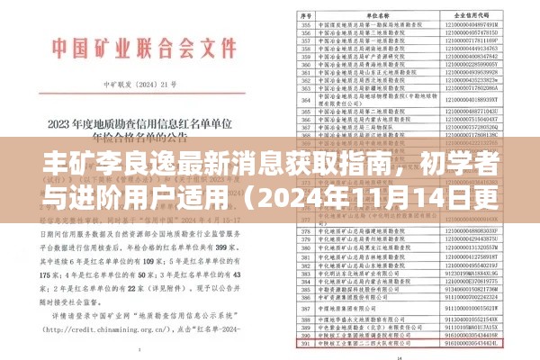 丰矿李良逸最新消息获取指南,初学者与进阶用户适用(2024年11月14日更新)