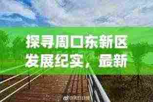 探寻周口东新区发展纪实,最新动态揭秘于11月14日