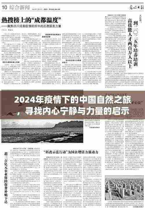 2024年疫情下的中国自然之旅,寻找内心宁静与力量的启示