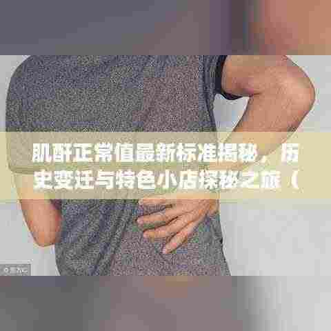 肌酐正常值最新标准揭秘,历史变迁与特色小店探秘之旅(2022年)