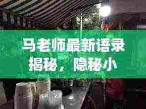 马老师最新语录揭秘,隐秘小巷美食探秘之旅