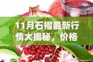 11月石榴最新行情大揭秘，价格更新与惊喜