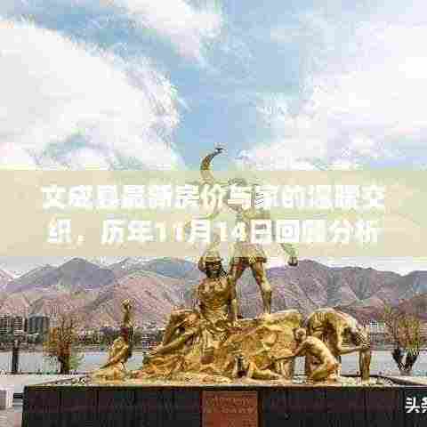 文成县最新房价与家的温暖交织，历年11月14日回顾分析