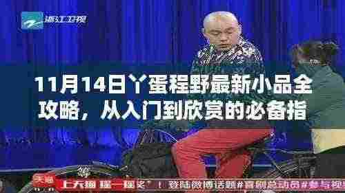 11月14日丫蛋程野最新小品全攻略,从入门到欣赏的必备指南