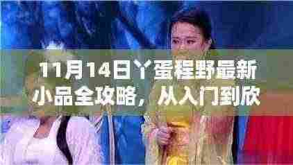 11月14日丫蛋程野最新小品全攻略,从入门到欣赏的必备指南