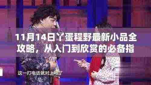 11月14日丫蛋程野最新小品全攻略,从入门到欣赏的必备指南