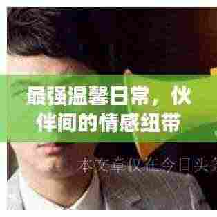 最强温馨日常,伙伴间的情感纽带在特别的一天闪耀