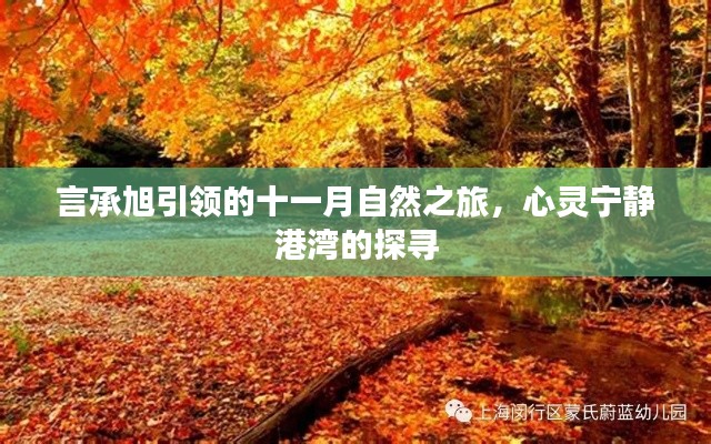 言承旭引领的十一月自然之旅,心灵宁静港湾的探寻