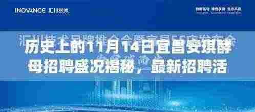 历史上的11月14日宜昌安琪酵母招聘盛况揭秘，最新招聘活动一览无余！