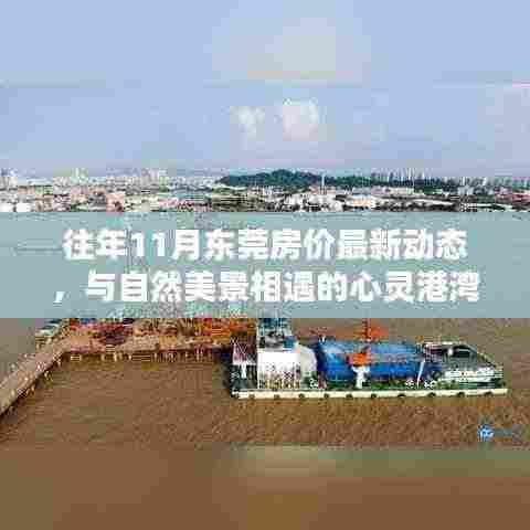 往年11月东莞房价最新动态,与自然美景相遇的心灵港湾探索