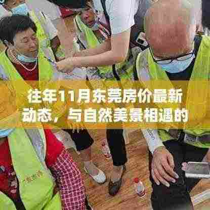 往年11月东莞房价最新动态,与自然美景相遇的心灵港湾探索