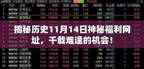 揭秘历史11月14日神秘福利网址,千载难逢的机会!