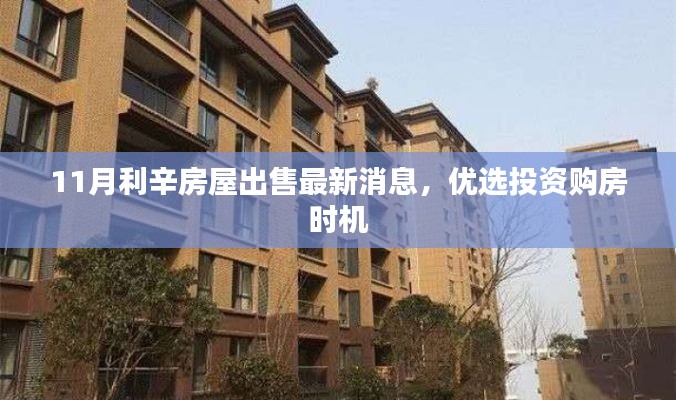 11月利辛房屋出售最新消息,优选投资购房时机