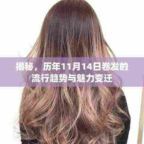 揭秘,历年11月14日卷发的流行趋势与魅力变迁