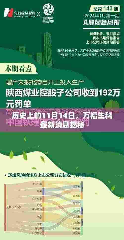 历史上的11月14日,万福生科最新消息揭秘