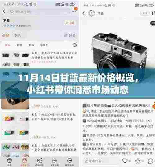 11月14日甘蓝最新价格概览,小红书带你洞悉市场动态