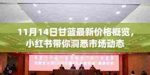 11月14日甘蓝最新价格概览,小红书带你洞悉市场动态