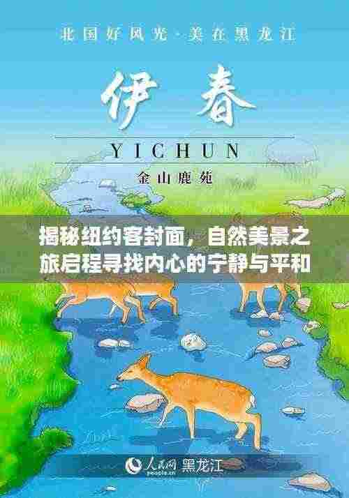 揭秘纽约客封面,自然美景之旅启程寻找内心的宁静与平和