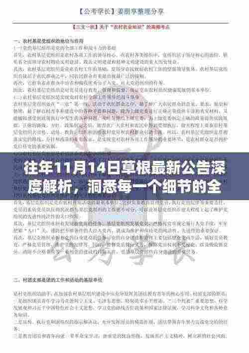 往年11月14日草根最新公告深度解析,洞悉每一个细节的全面指南