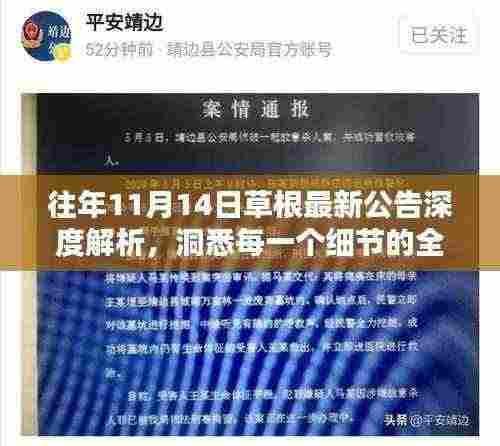 往年11月14日草根最新公告深度解析,洞悉每一个细节的全面指南