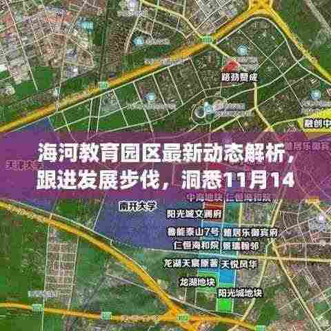 海河教育园区最新动态解析,跟进发展步伐,洞悉11月14日最新资讯