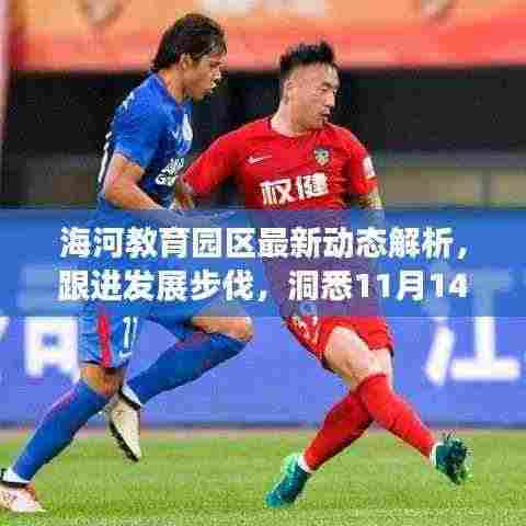 海河教育园区最新动态解析,跟进发展步伐,洞悉11月14日最新资讯