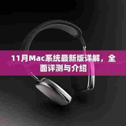 11月Mac系统最新版详解,全面评测与介绍