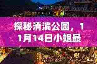 探秘清滨公园，11月14日小姐最新情况及隐藏宝藏小店揭秘