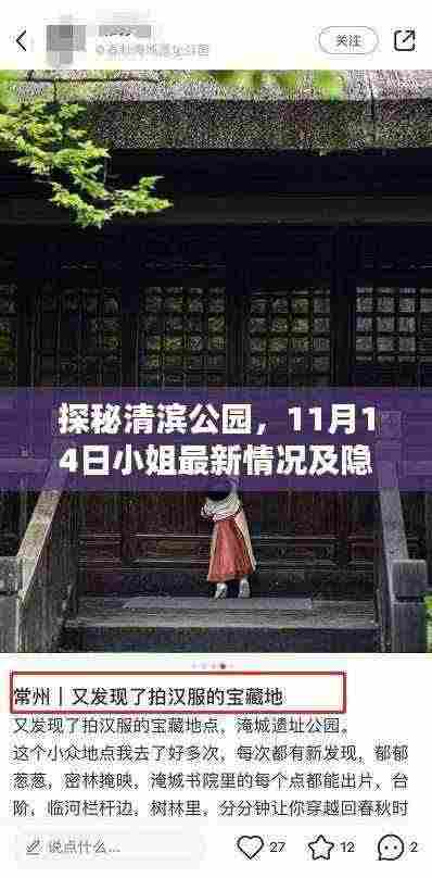 探秘清滨公园,11月14日小姐最新情况及隐藏宝藏小店揭秘