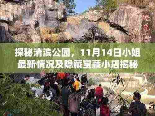 探秘清滨公园,11月14日小姐最新情况及隐藏宝藏小店揭秘