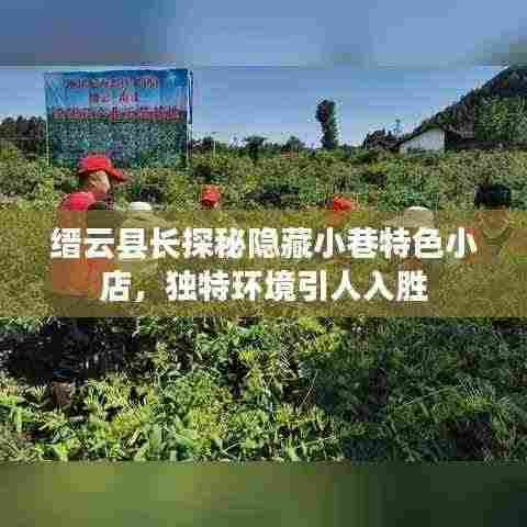 缙云县长探秘隐藏小巷特色小店，独特环境引人入胜