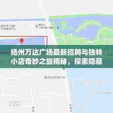 扬州万达广场最新招聘与独特小店奇妙之旅揭秘,探索隐藏小巷的未知之旅