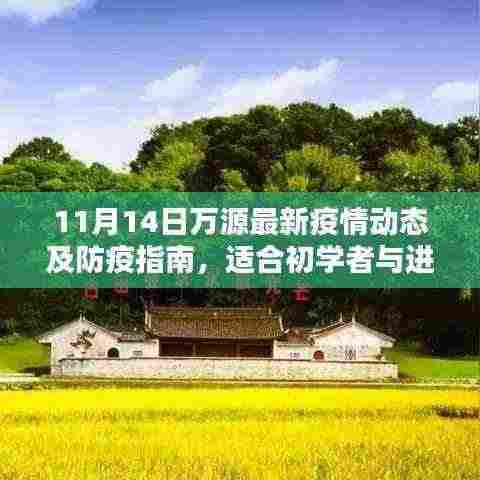 11月14日万源最新疫情动态及防疫指南，适合初学者与进阶用户参考