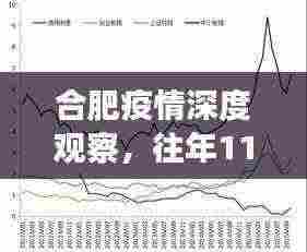 合肥疫情深度观察,往年11月14日的最新动态与深度分析