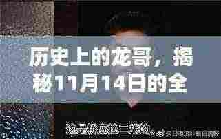 历史上的龙哥,揭秘11月14日的全新篇章