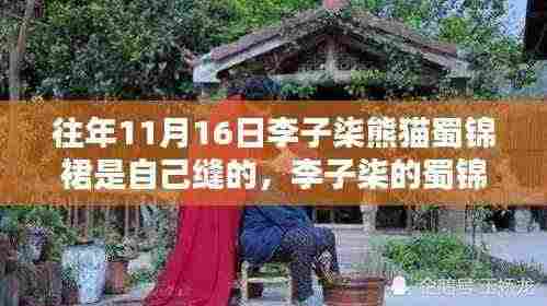 李子柒蜀锦熊猫裙子的温情缝制与深厚情缘,一份跨越时间的友情记忆