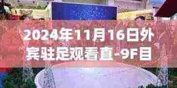 直-9F展翅高飞,外宾瞩目下的自信与成就之旅