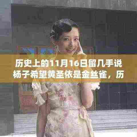 杨子与黄圣依,微妙关系的深度解读——历史上的11月16日留几手事件回顾与解析
