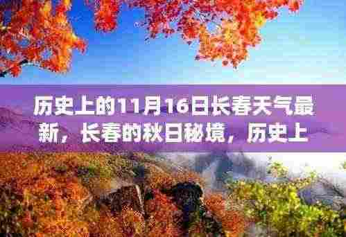 历史上的11月16日长春秋日秘境，探寻内心平静的秋日旅程