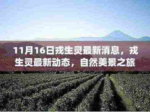 戎生灵最新动态,自然美景之旅,探寻心灵宁静之地