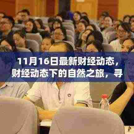 财经动态下的自然之旅,探寻内心的宁静与诗意风景(最新财经动态报道)