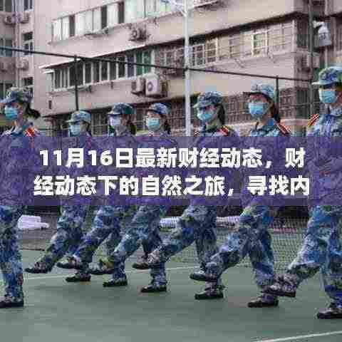 财经动态下的自然之旅,探寻内心的宁静与诗意风景(最新财经动态报道)